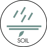 Button soil