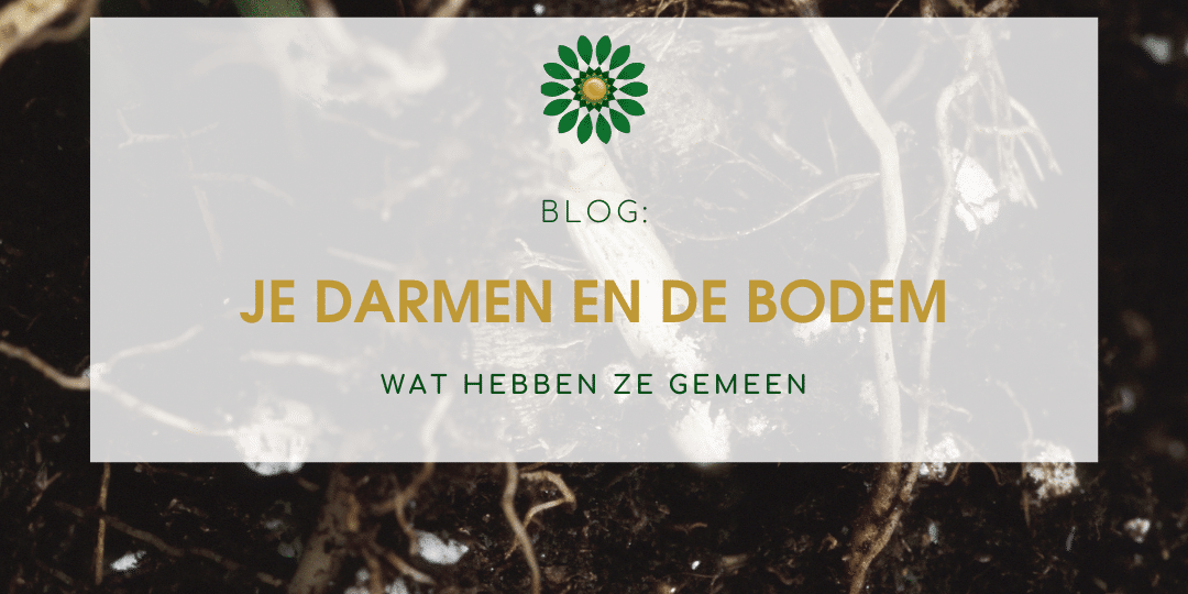 Darmen en bodem blog Je darmen en de bodem - wat hebben ze gemeen