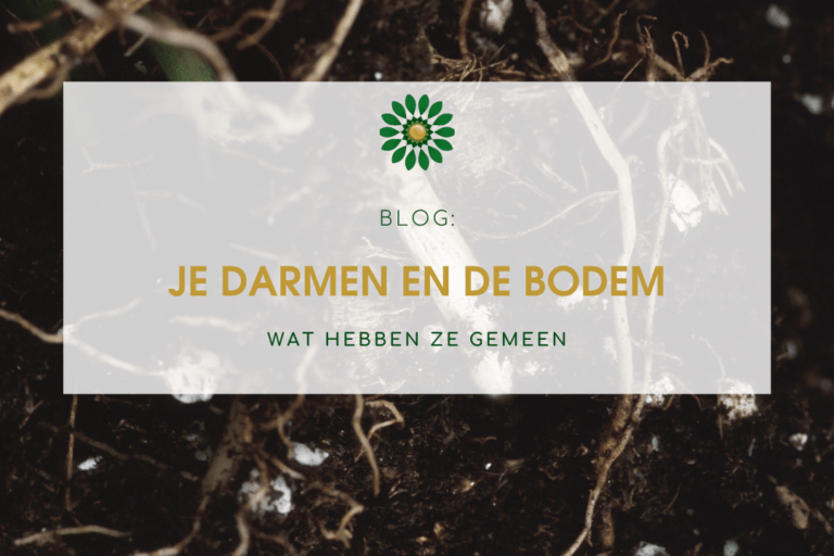 Je darmen en de bodem - wat hebben ze gemeen