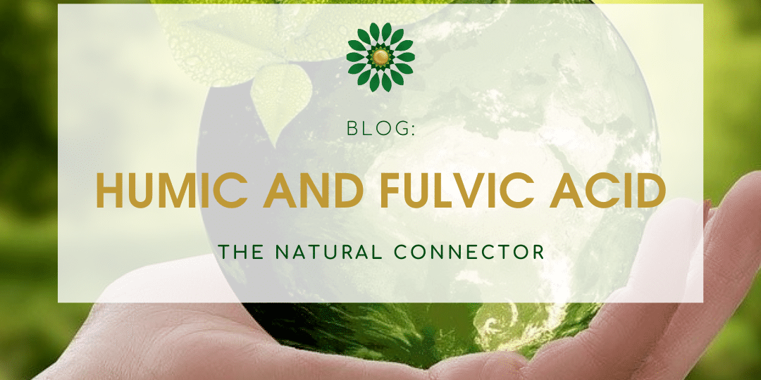 Blog the natural connector