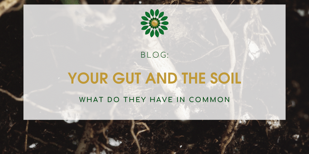 Blog your gut and the soil