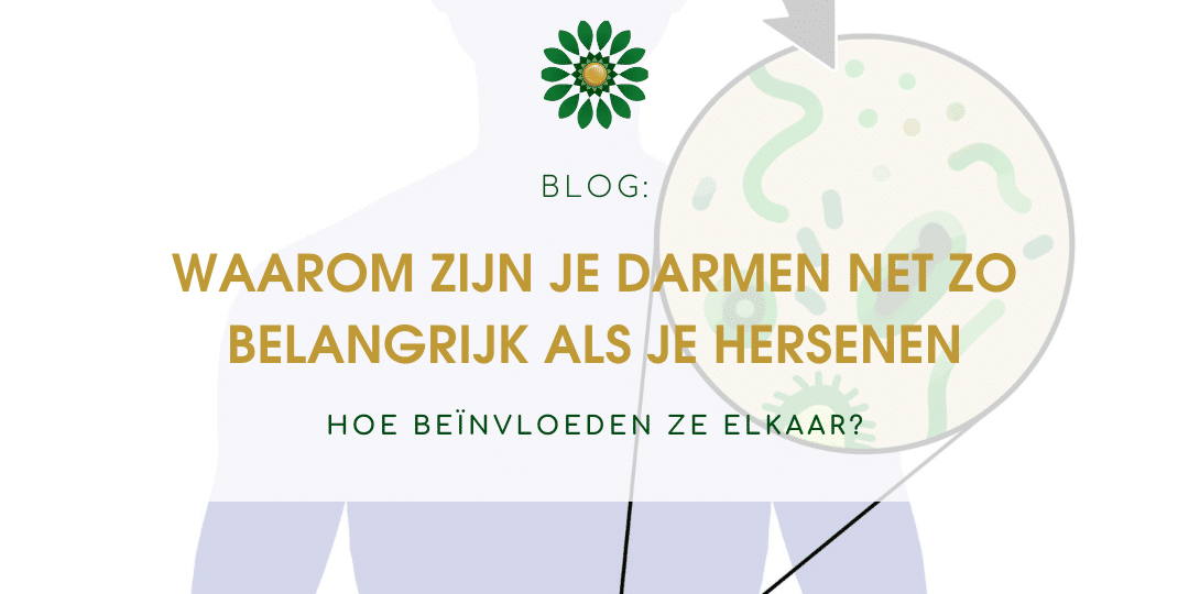 Blog foto darmen en hersenen (2)