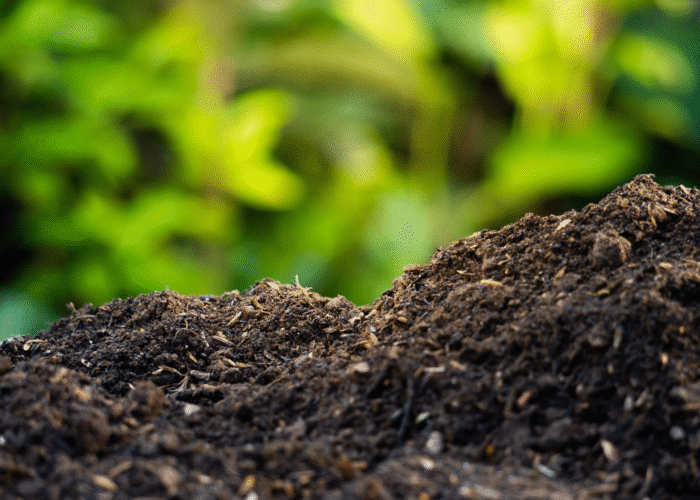 Fertile soil background for environmental theme