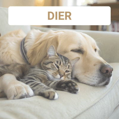 Tegel dier winter 2025