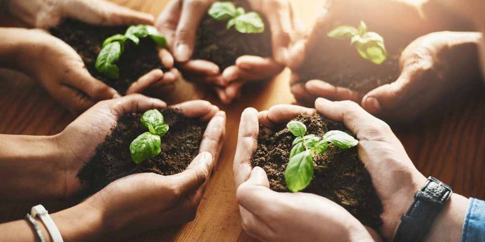 Over Humic Solution Over Humic Solution