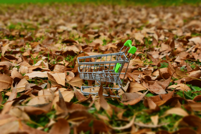 Winkelwagen in natuur